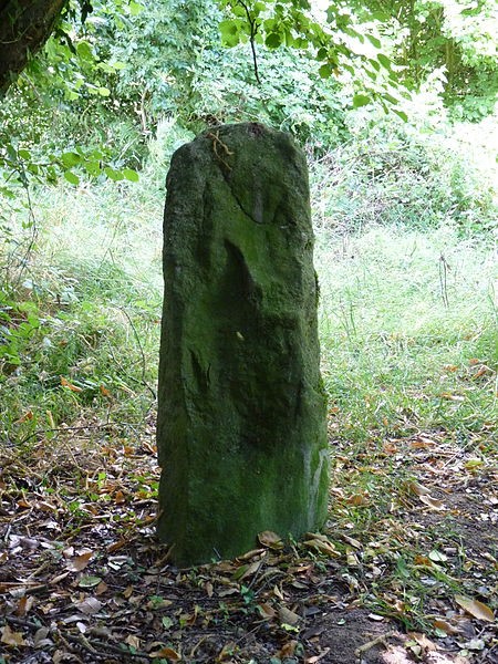 Photo de Menhirs de Kergoff à Boqueho
