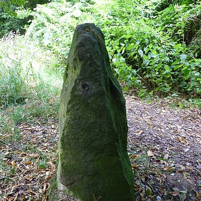 Photo de Menhirs de Kergoff à Boqueho