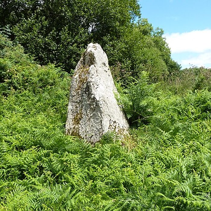 Photo de Menhirs de Kergoff à Boqueho