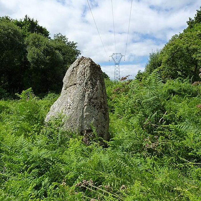 Photo de Menhirs de Kergoff à Boqueho