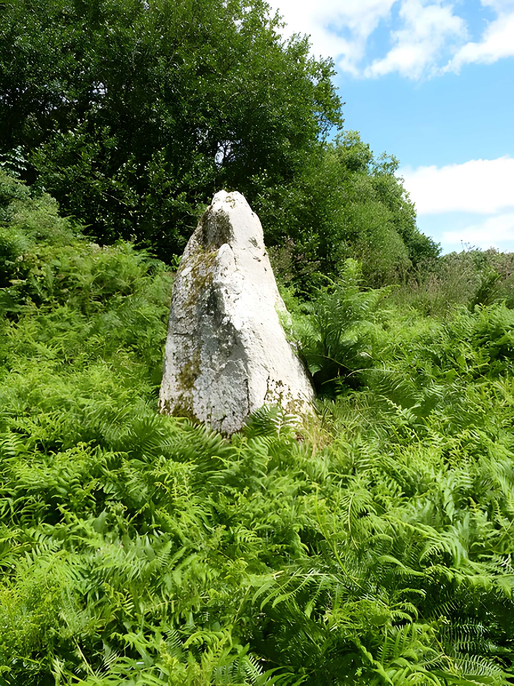 Menhirs de Kergoff à Boqueho