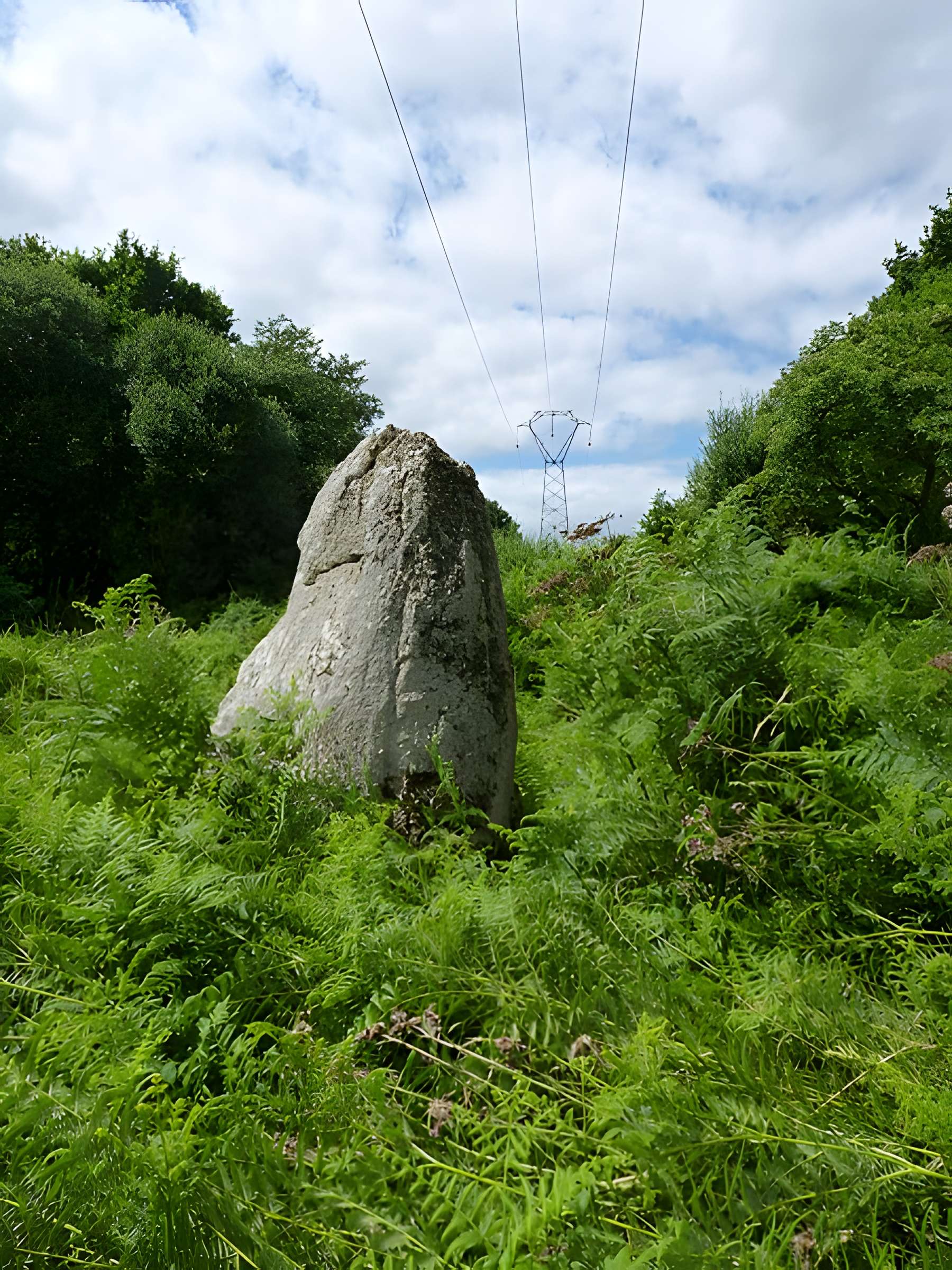 Menhirs de Kergoff à Boqueho