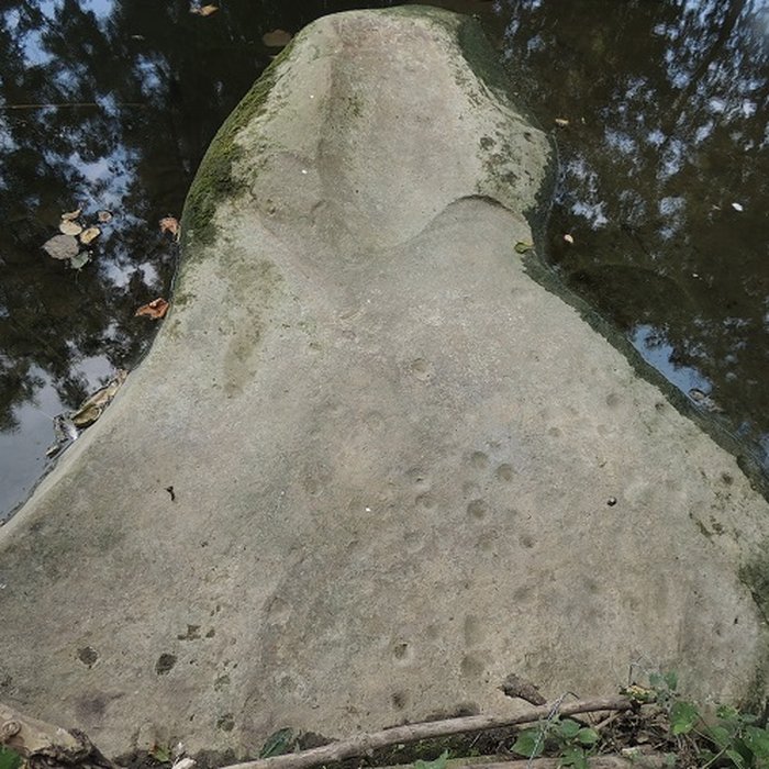 Photo de Menhirs de la propriété Talma à Brunoy
