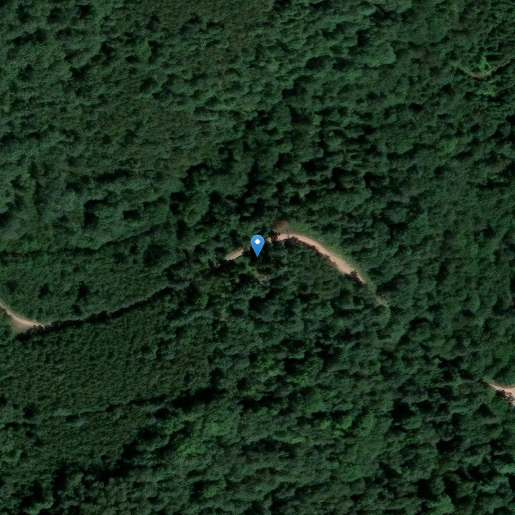 Photo de Menhirs de La Roche-en-Brenil