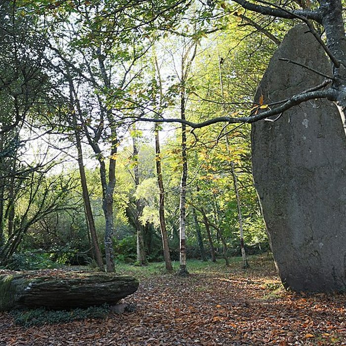Photo de Menhirs de Lespurit-Quelen à Plovan