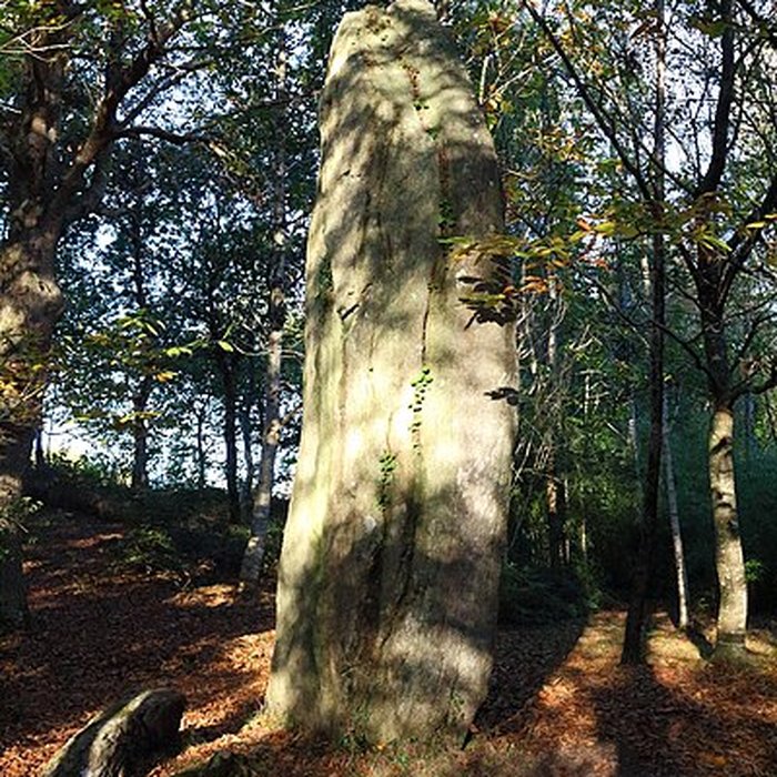 Photo de Menhirs de Lespurit-Quelen à Plovan