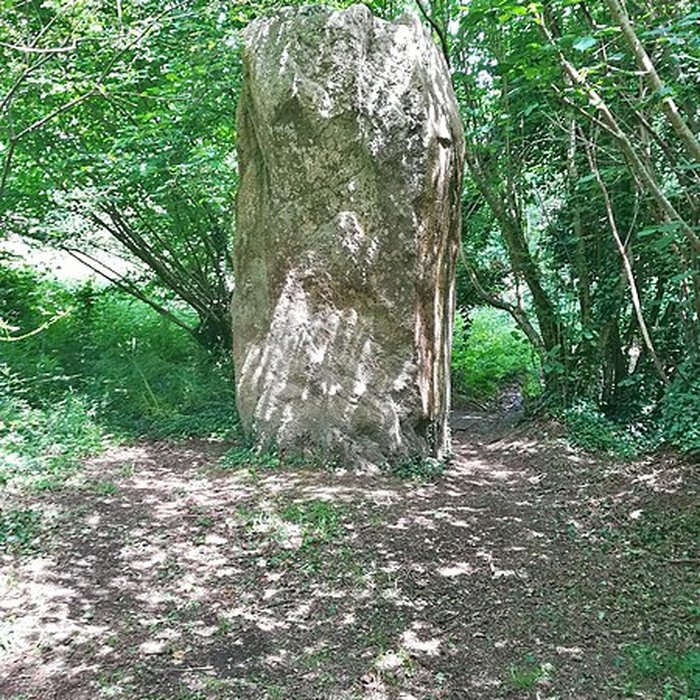 Photo de Menhirs de Lespurit-Quelen à Plovan