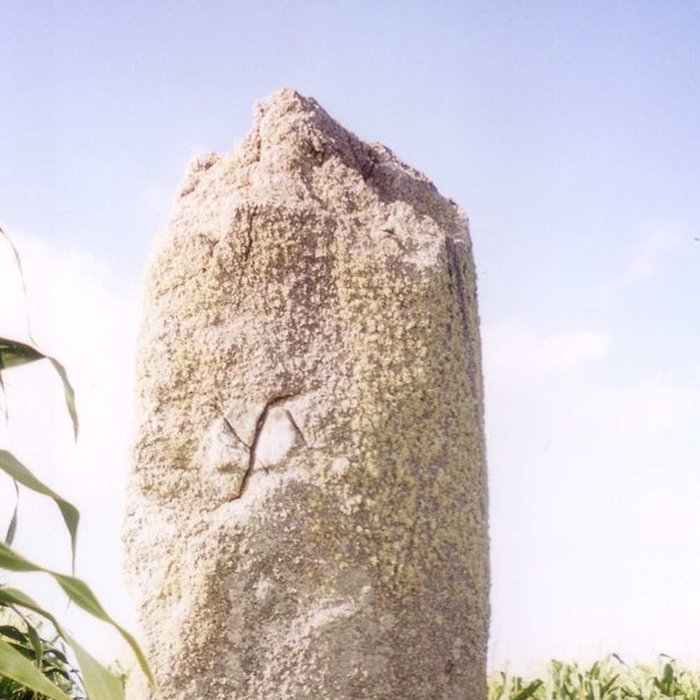 Photo de Menhirs de Mesdoun à Porspoder
