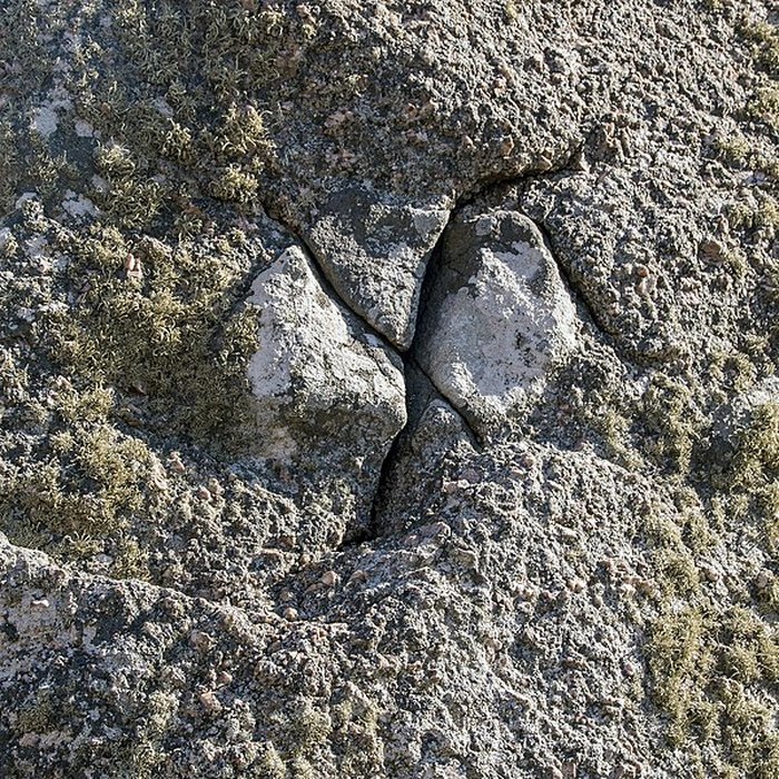 Photo de Menhirs de Mesdoun à Porspoder