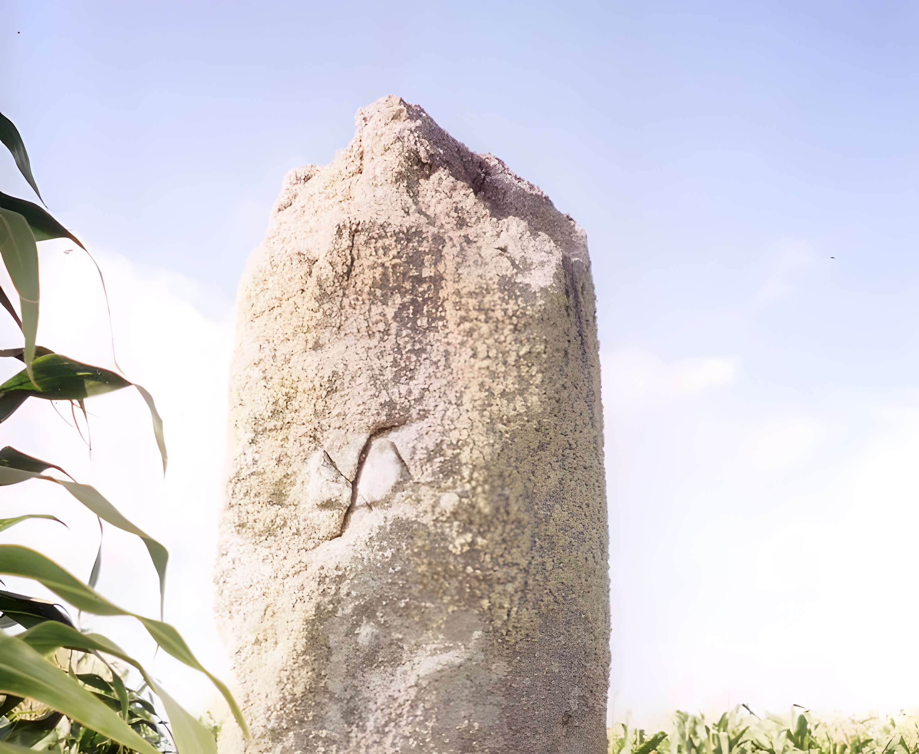 Menhirs de Mesdoun à Porspoder