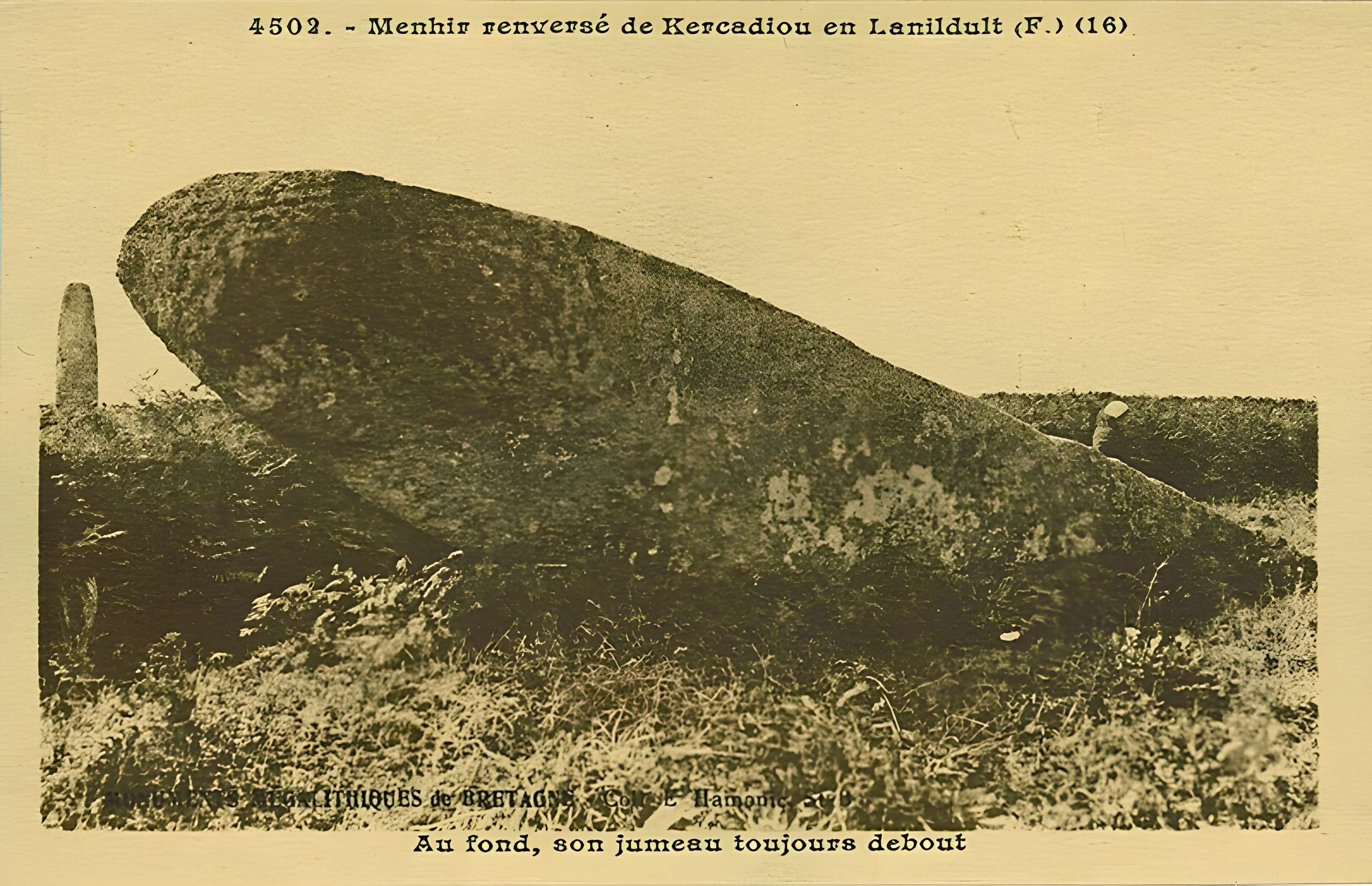 Menhirs de Mesdoun à Porspoder