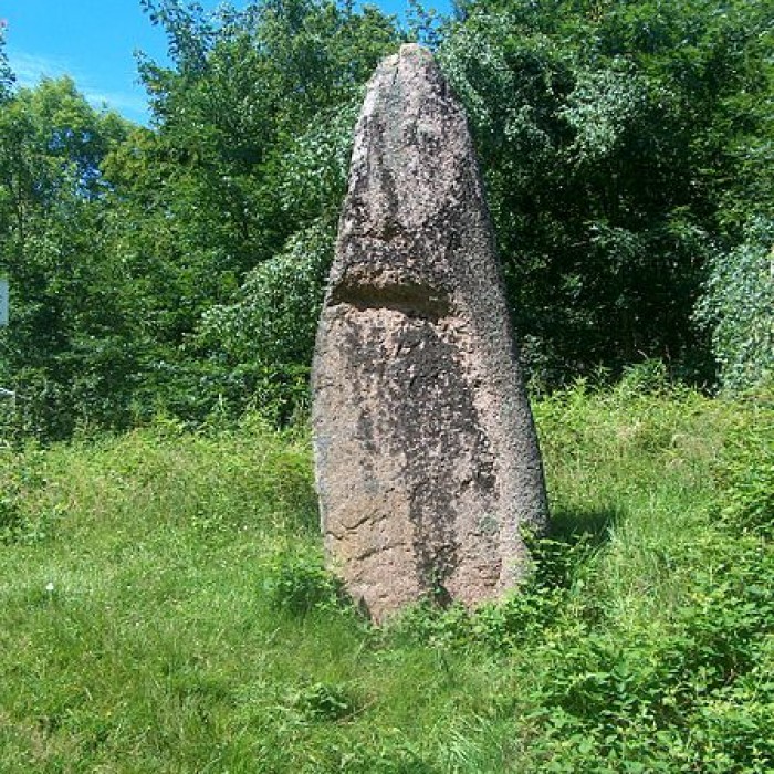 Photo de Menhirs de Pierre-Borne à la Maladrerie à Raon-lÉtape