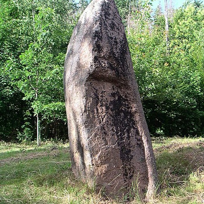 Photo de Menhirs de Pierre-Borne à la Maladrerie à Raon-lÉtape