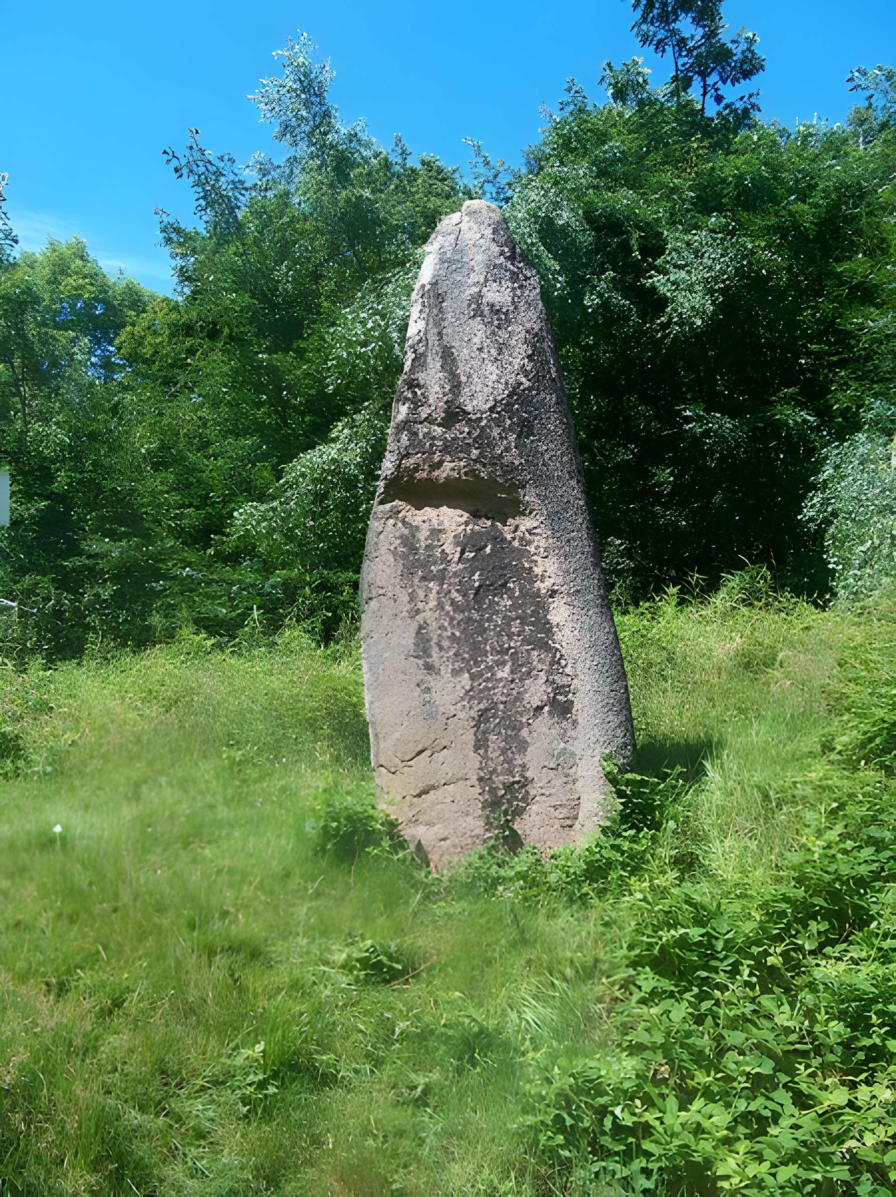 Menhirs de Pierre-Borne à la Maladrerie à Raon-l'Étape 