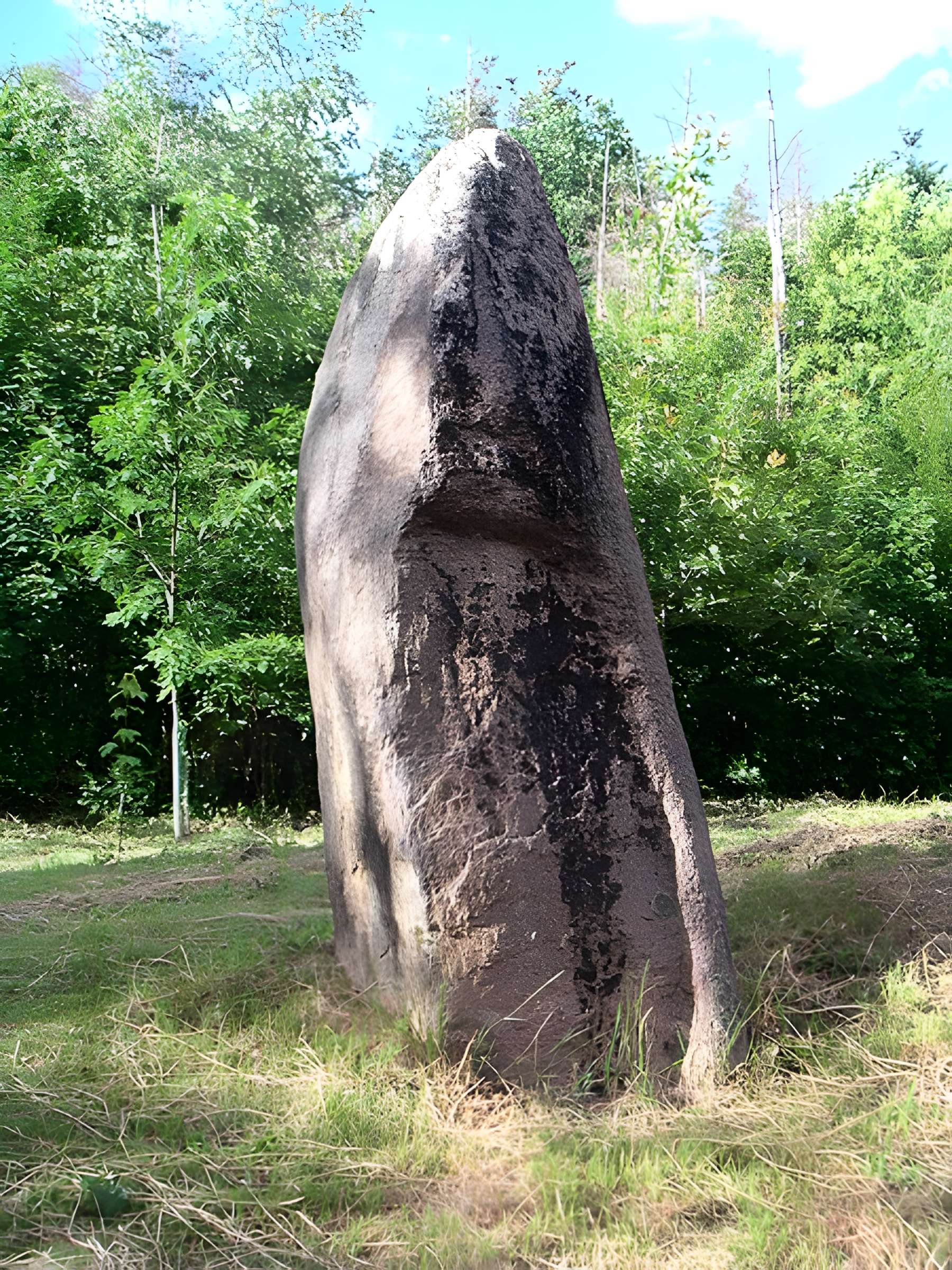 Menhirs de Pierre-Borne à la Maladrerie à Raon-l'Étape