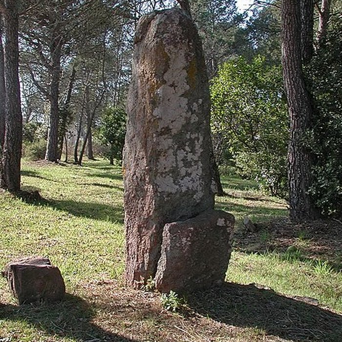 Photo de Menhirs de Veyssières à Saint-Raphaël