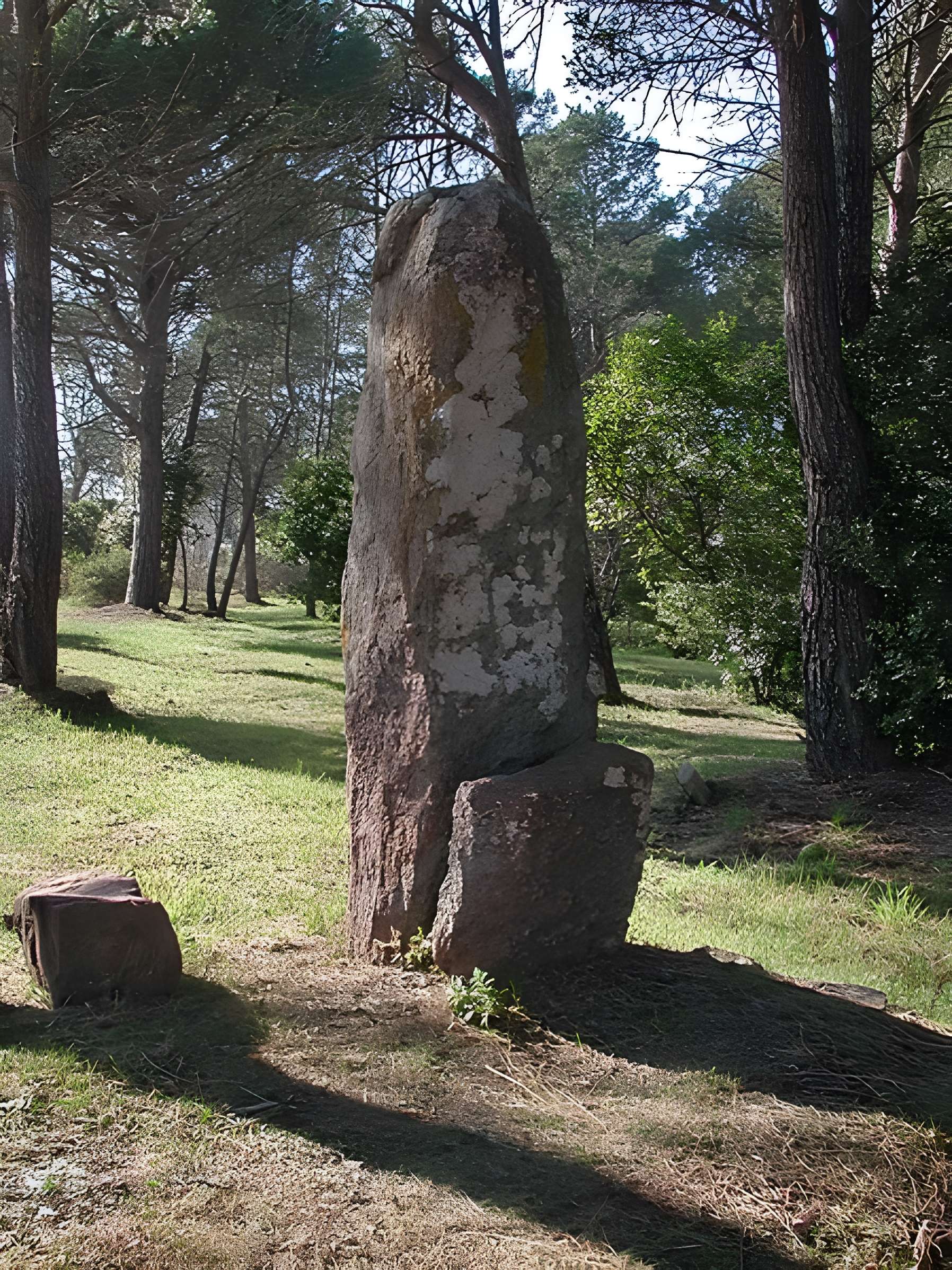 Menhirs de Veyssières à Saint-Raphaël