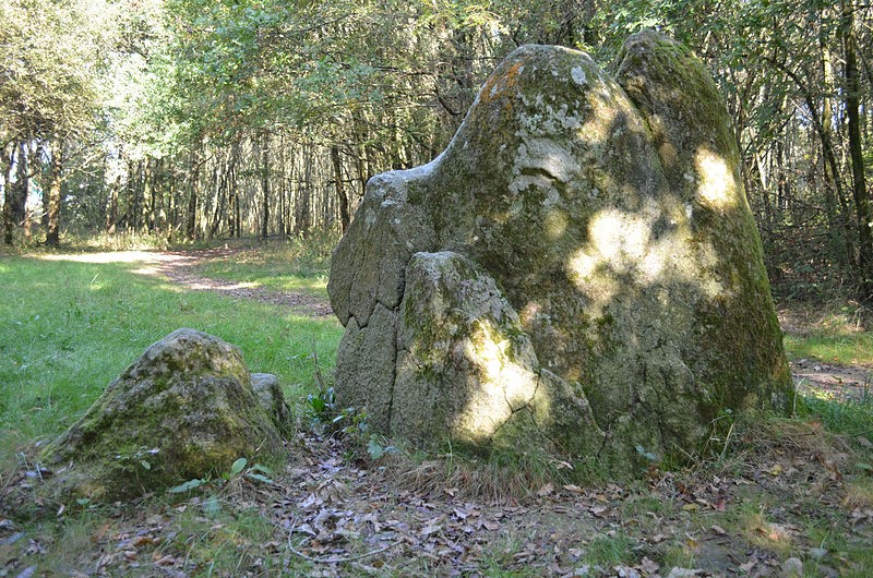 Photo de Menhirs des Dames de pierre de Pont-Saint-Martin