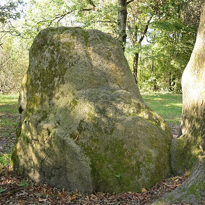 Photo de Menhirs des Dames de pierre de Pont-Saint-Martin