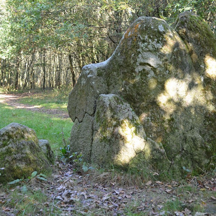 Photo de Menhirs des Dames de pierre de Pont-Saint-Martin