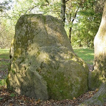 Menhirs des Dames de pierre de Pont-Saint-Martin