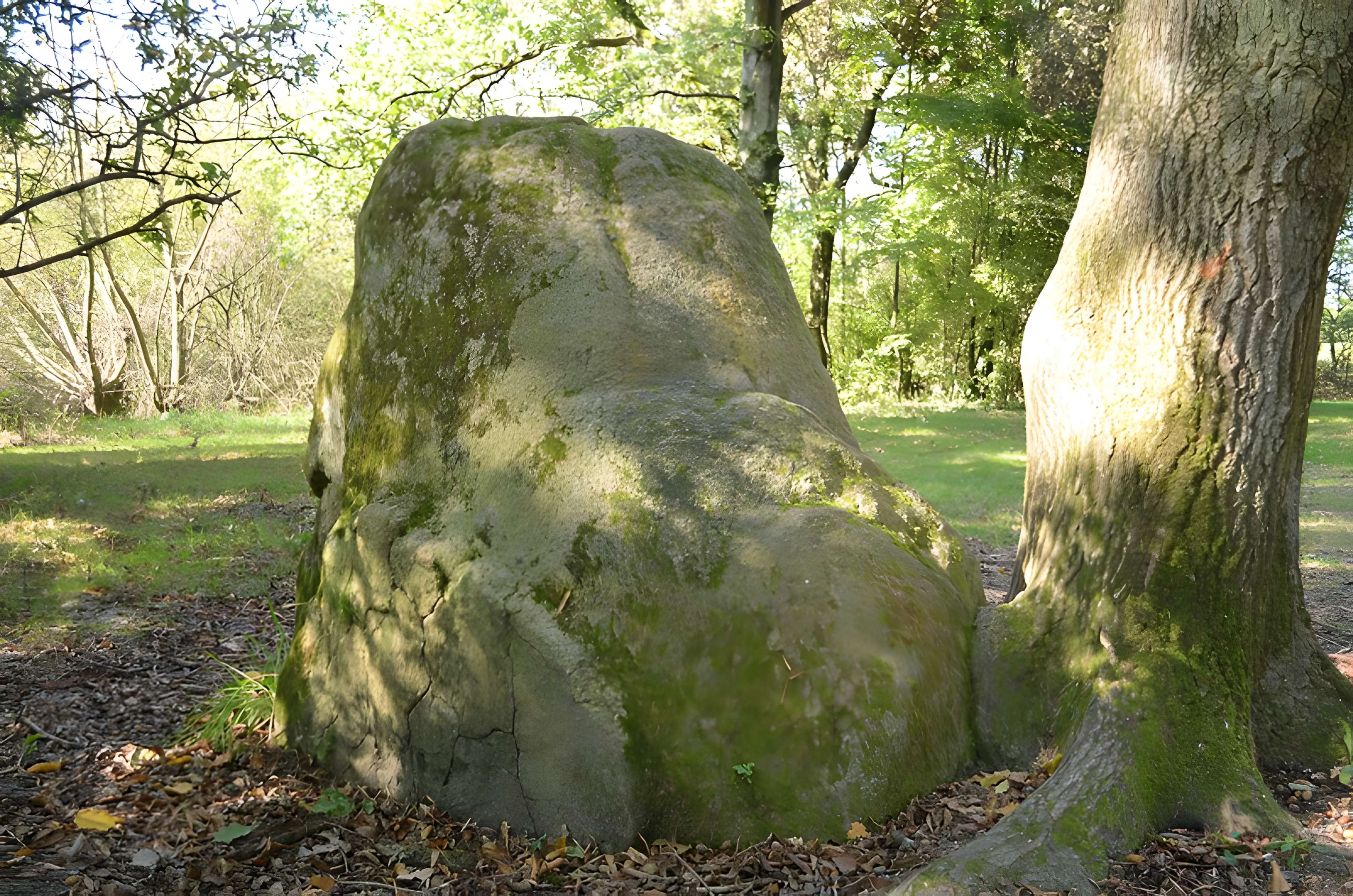 Menhirs des Dames de pierre de Pont-Saint-Martin