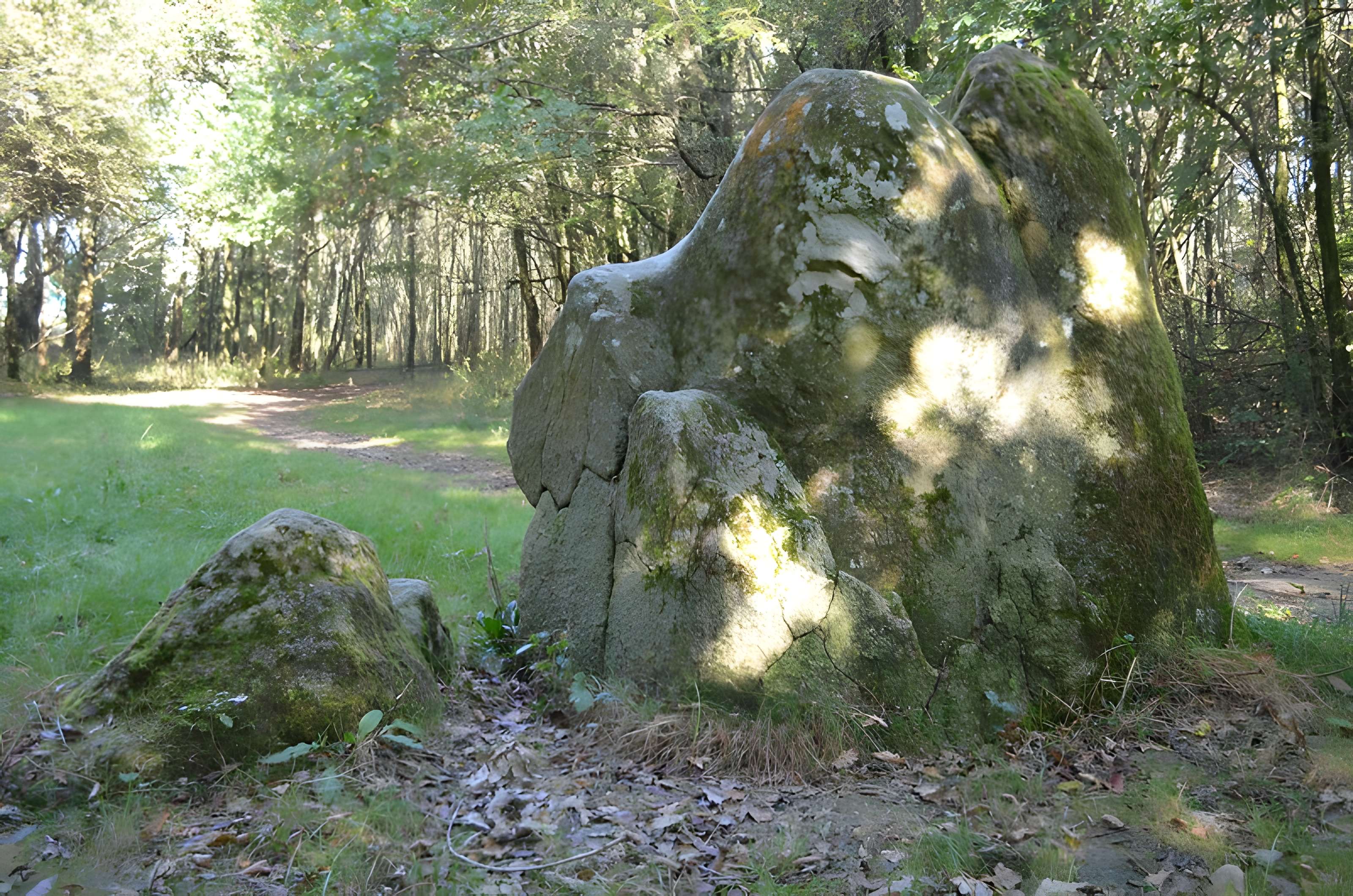 Menhirs des Dames de pierre de Pont-Saint-Martin 