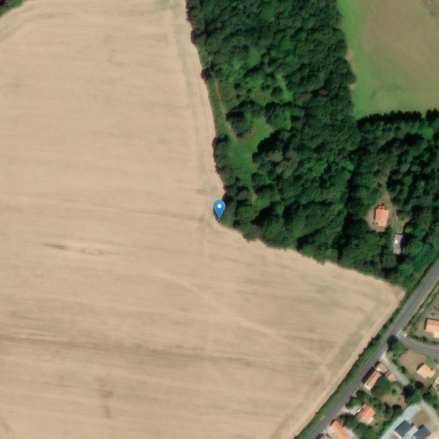 Photo de Menhirs dal campo della Pietra di Avrillé