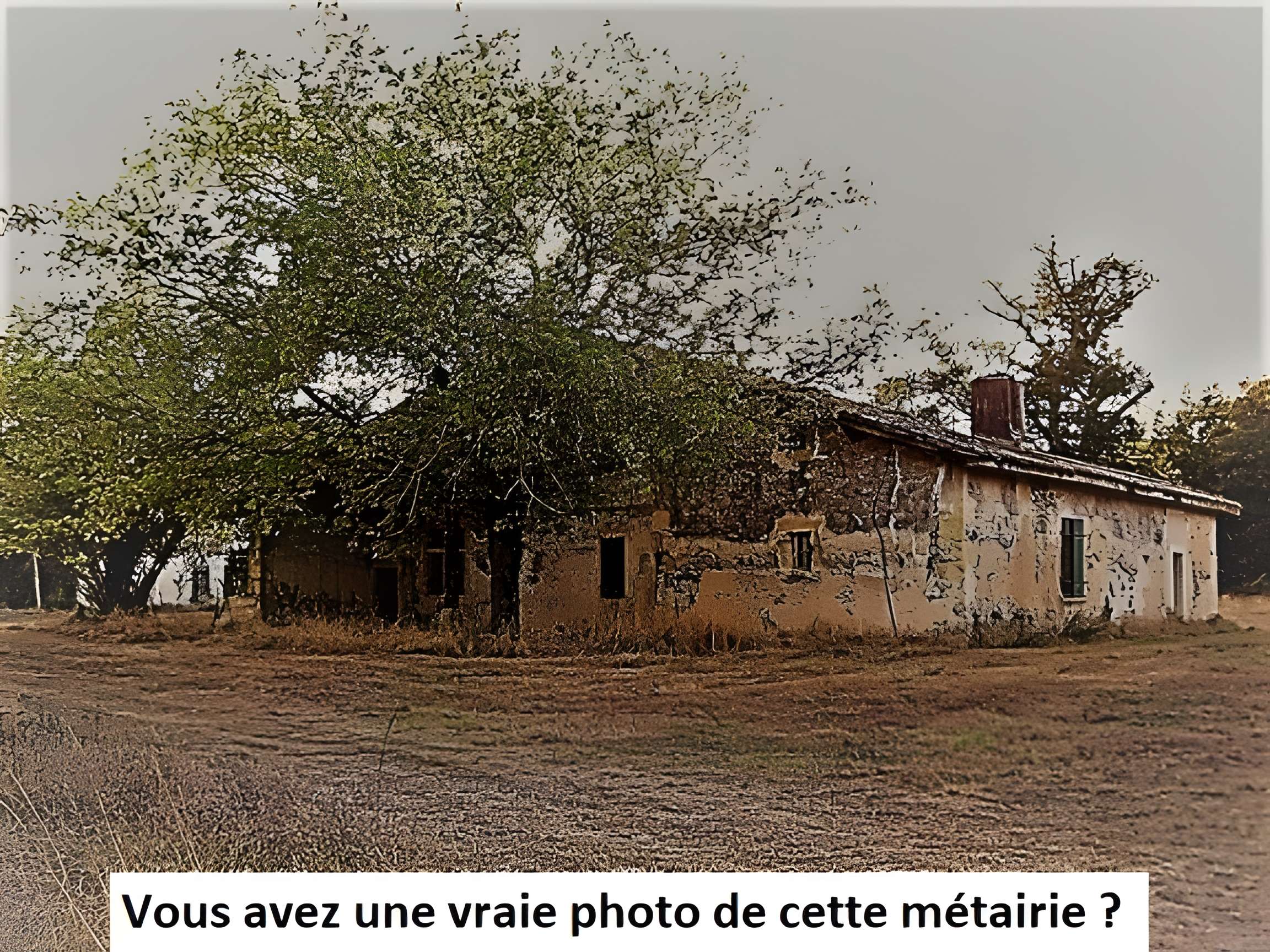 Métairie ronde de Saint-Lieux-Lafenasse 