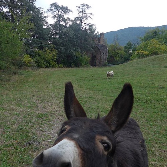 Photo de Mines de fer de Saint-Priest