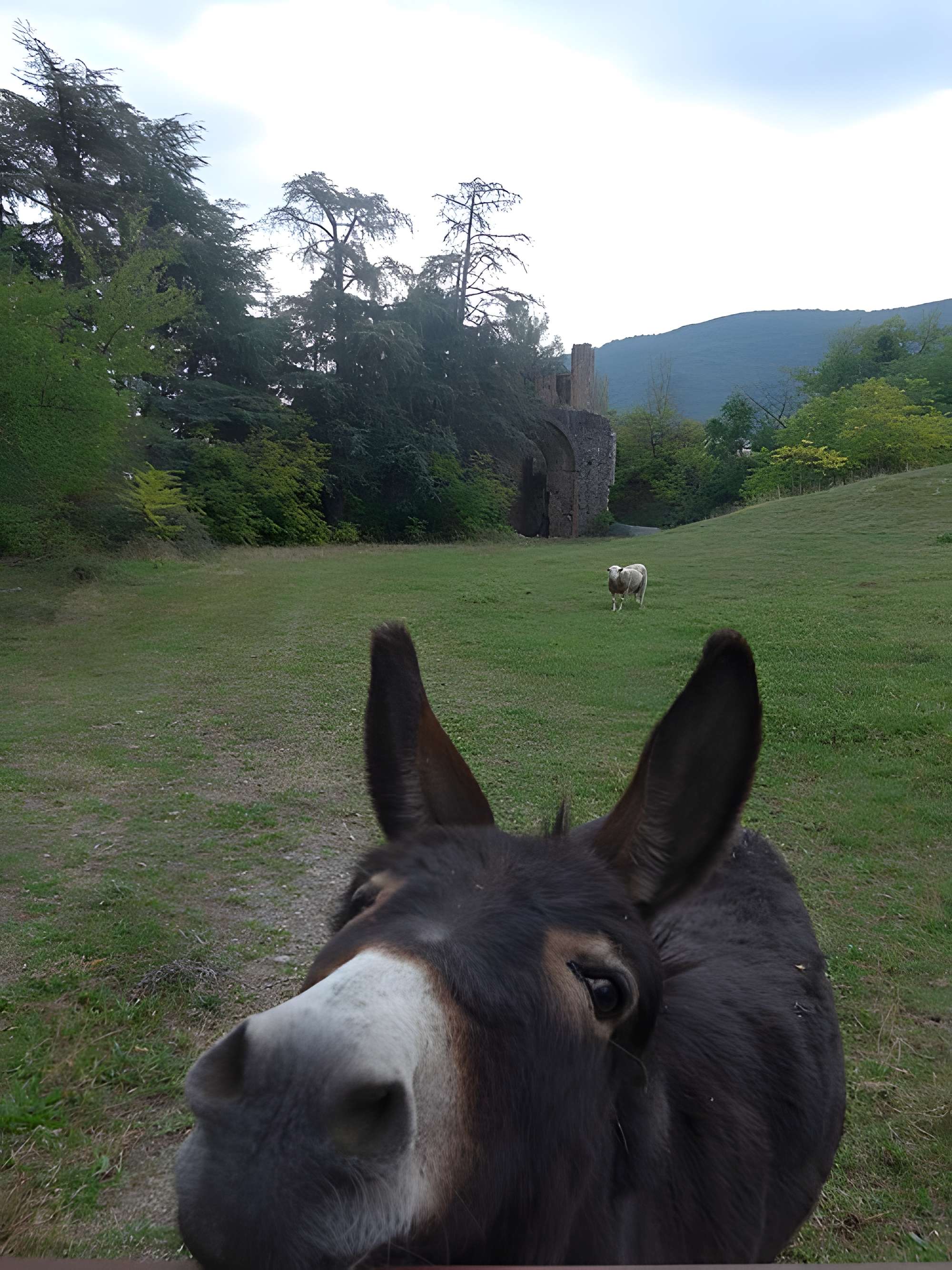 Mines de fer de Saint-Priest