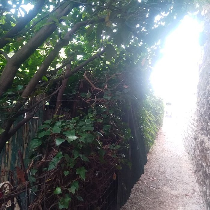 Photo de Mire de Cassini à Villejuif