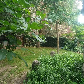 Mire de Cassini à Villejuif