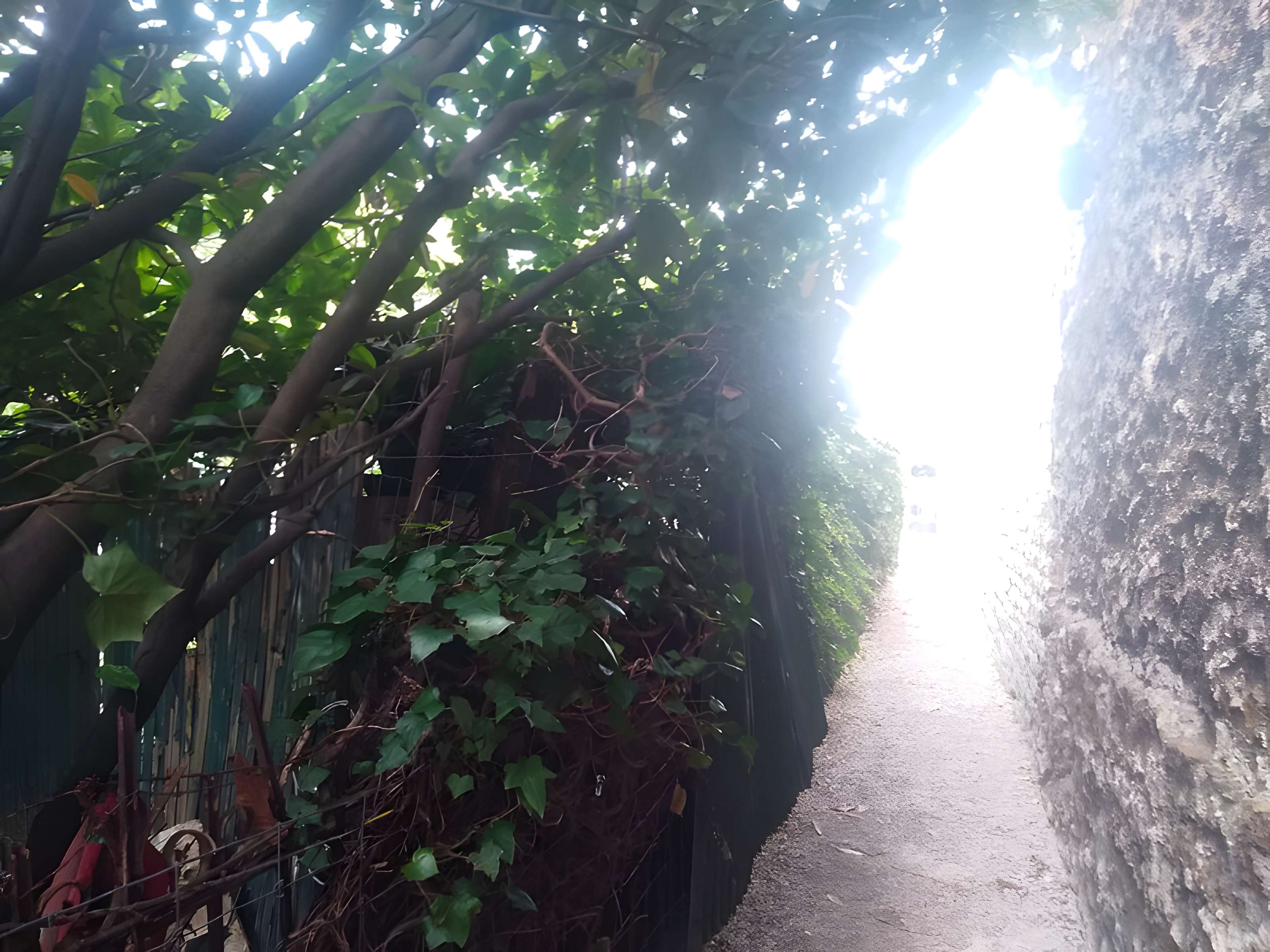 Mire de Cassini à Villejuif