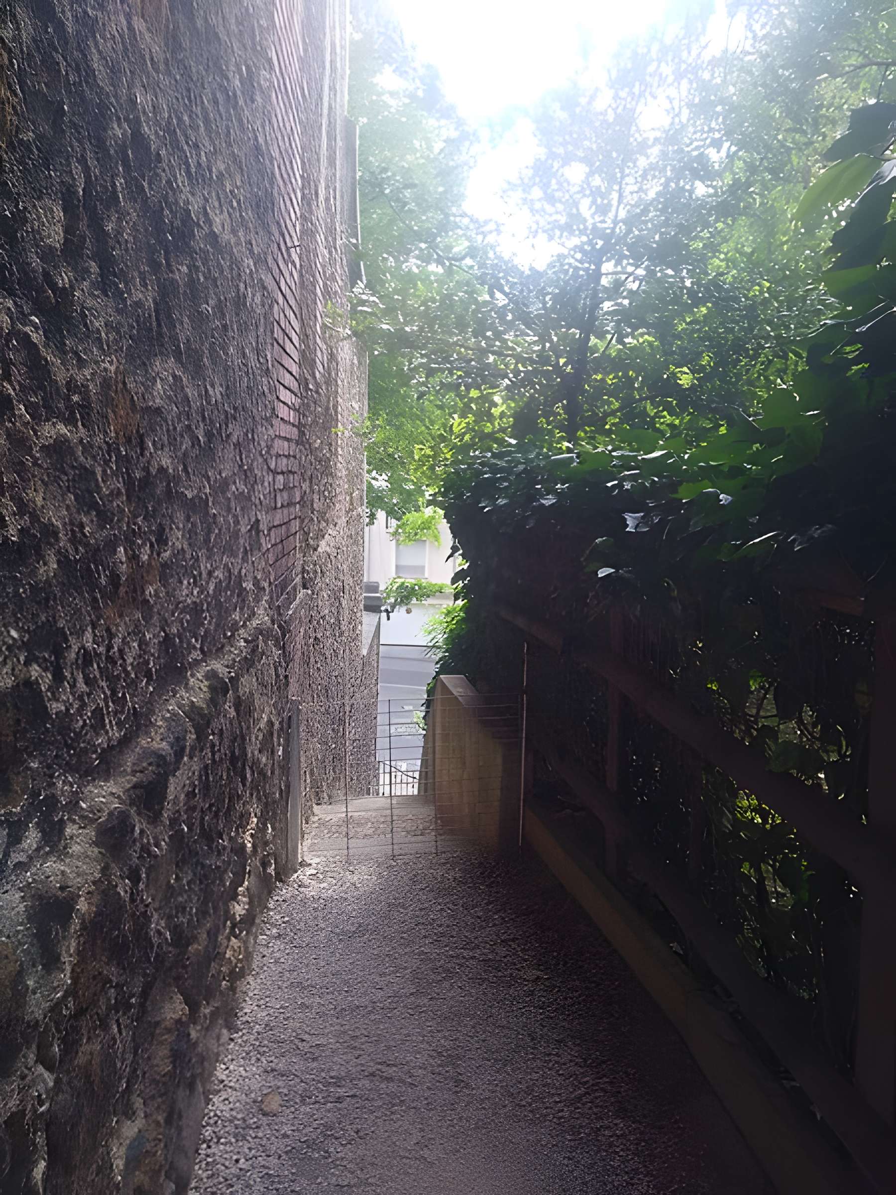 Mire de Cassini à Villejuif