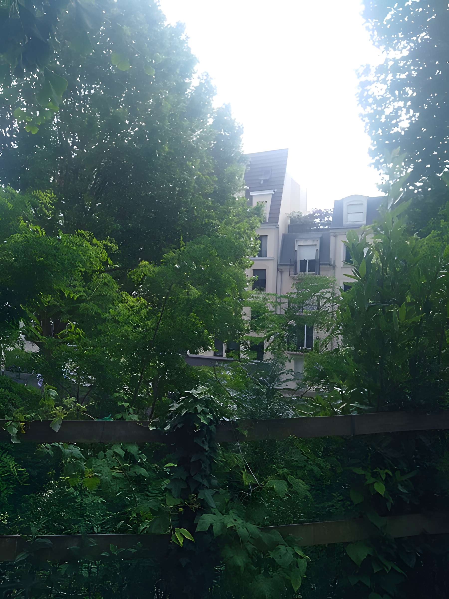 Mire de Cassini à Villejuif