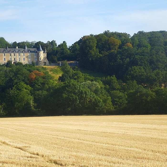 Photo de Château de Courtanvaux