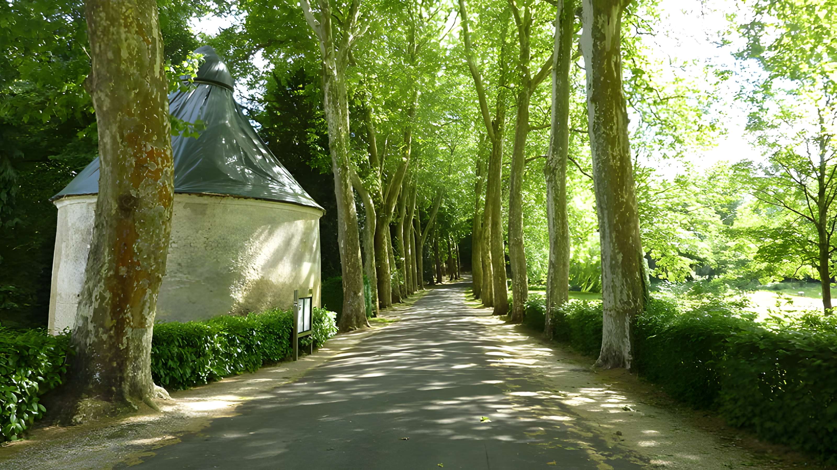 Château de Courtanvaux