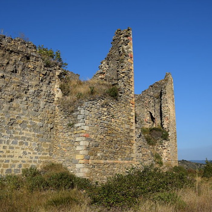 Photo de Château de Coustaussa