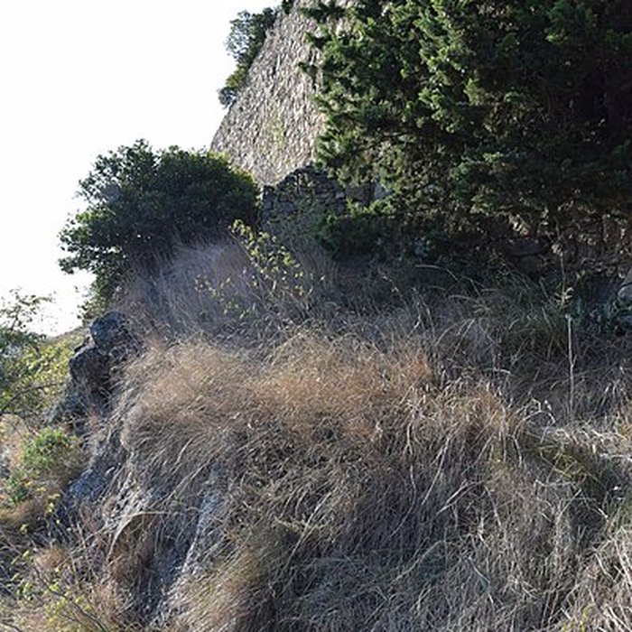 Photo de Château de Coustaussa
