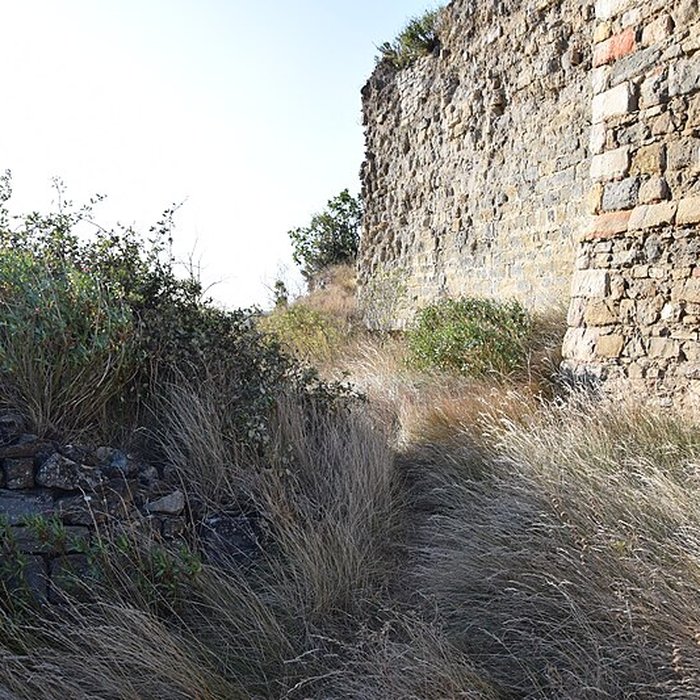 Photo de Château de Coustaussa