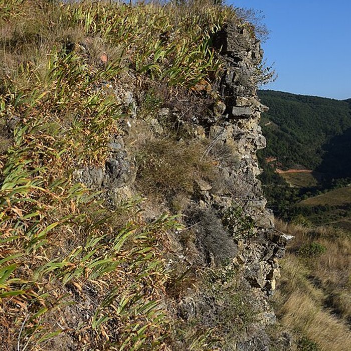 Photo de Château de Coustaussa