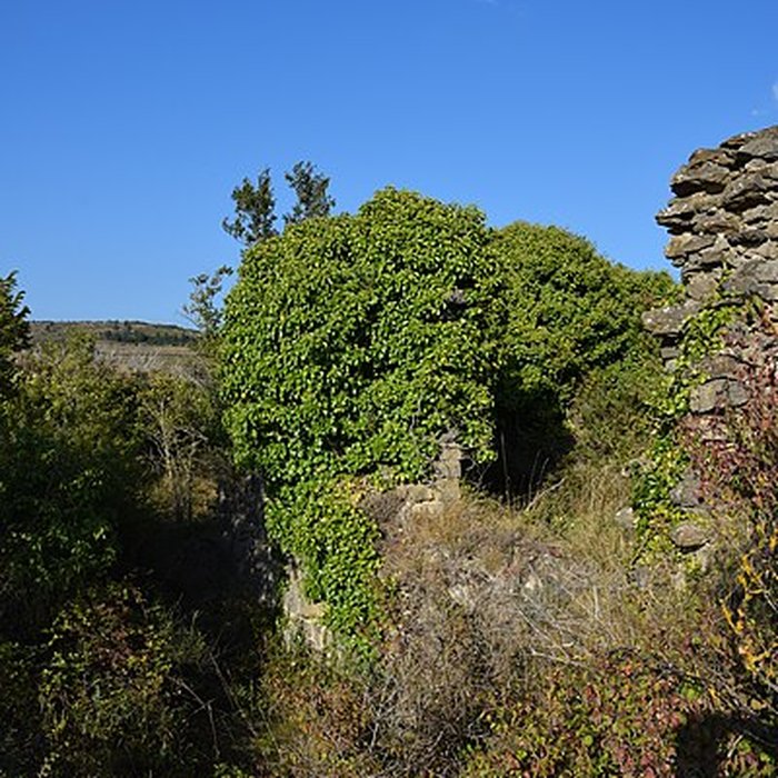 Photo de Château de Coustaussa