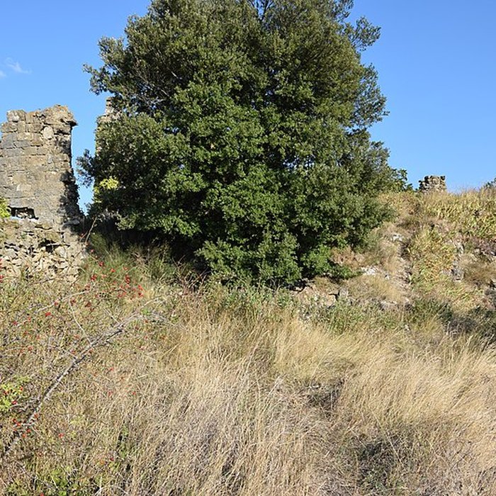 Photo de Château de Coustaussa
