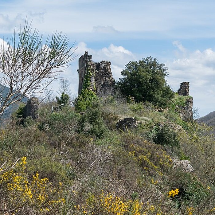 Photo de Château de Coustaussa
