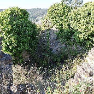 Château de Coustaussa