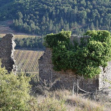 Château de Coustaussa