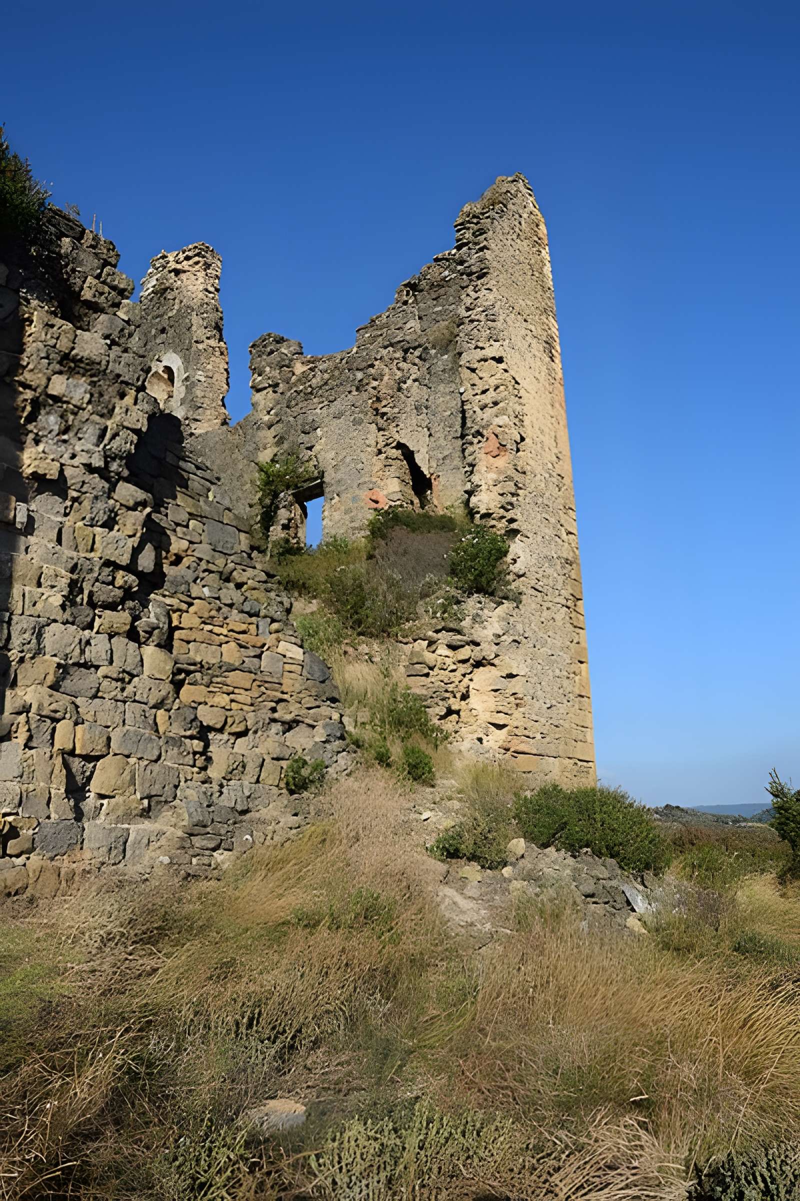 Château de Coustaussa