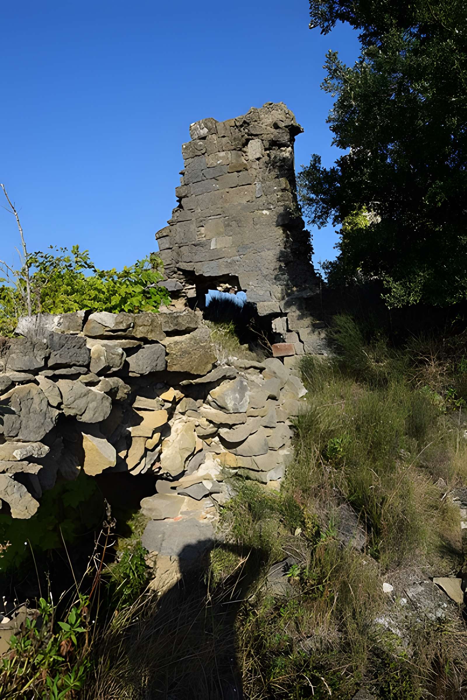 Château de Coustaussa