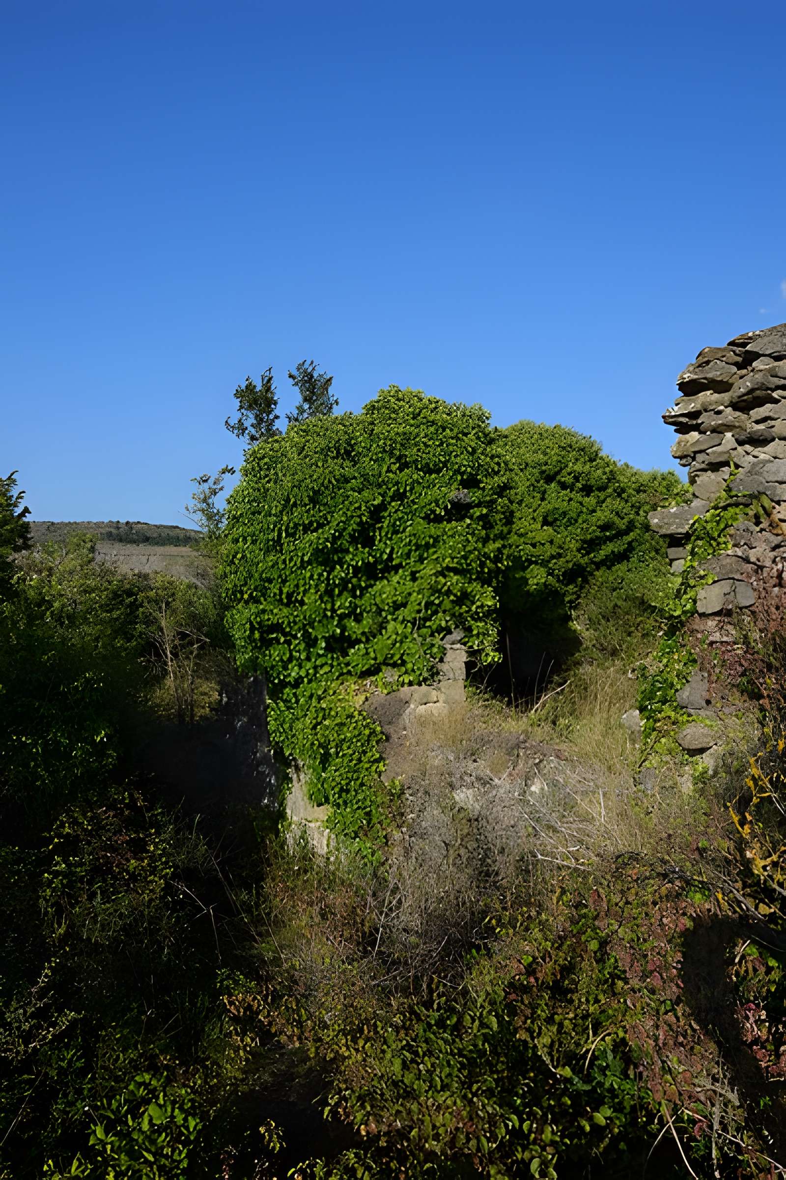 Château de Coustaussa